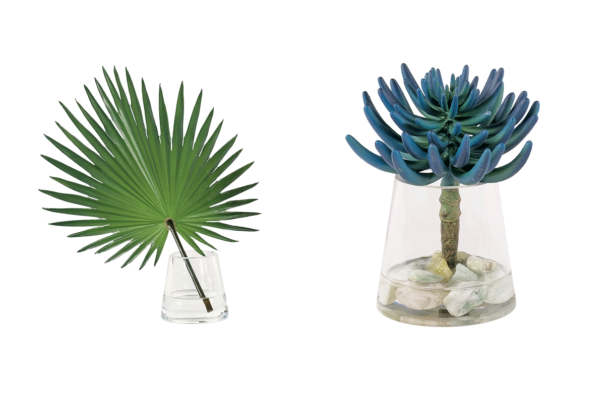 Basic Background Remove Service After