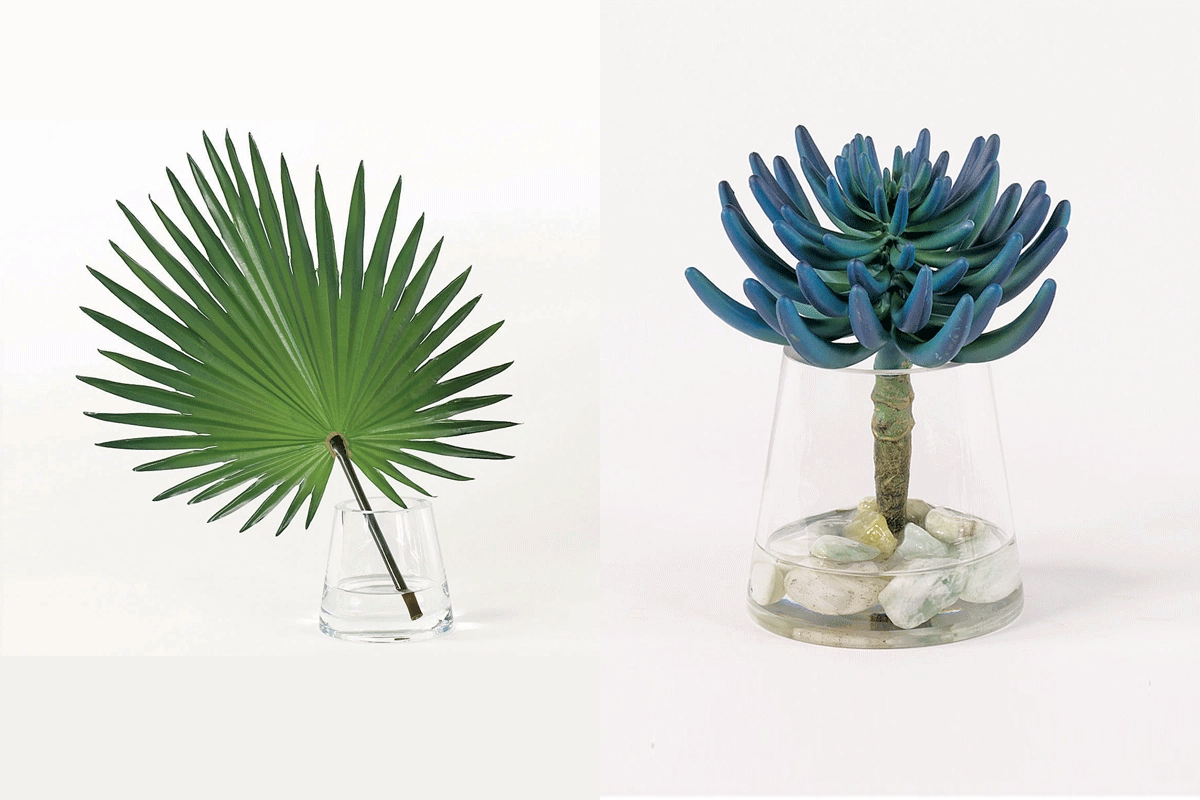 Basic Background Remove Service before